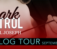 Blog Tour Promo Spot:  Dark Control – Annabel Joseph