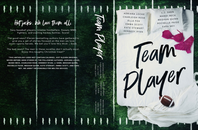 TeamPlayerBookCover6x9_BW_828